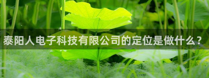 泰阳人电子科技有限公司的定位是做什么？
