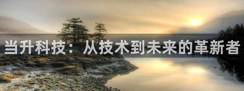当升科技：从技术到未来的革新者