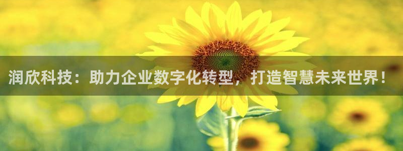 润欣科技：助力企业数字化转型，打造智慧未来世界！