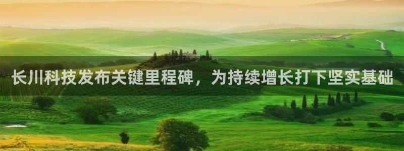长川科技发布关键里程碑，为持续增长打下坚实基础