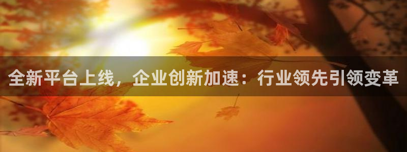 全新平台上线，企业创新加速：行业领先引领变革