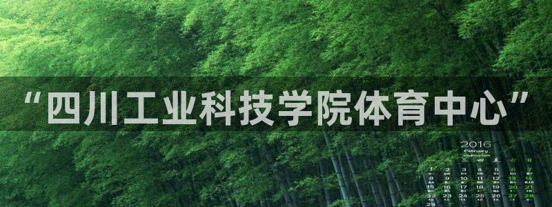 “四川工业科技学院体育中心”