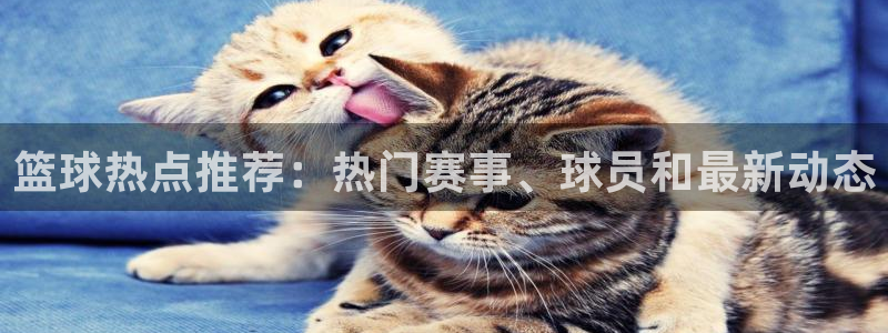 篮球热点推荐：热门赛事、球员和最新动态